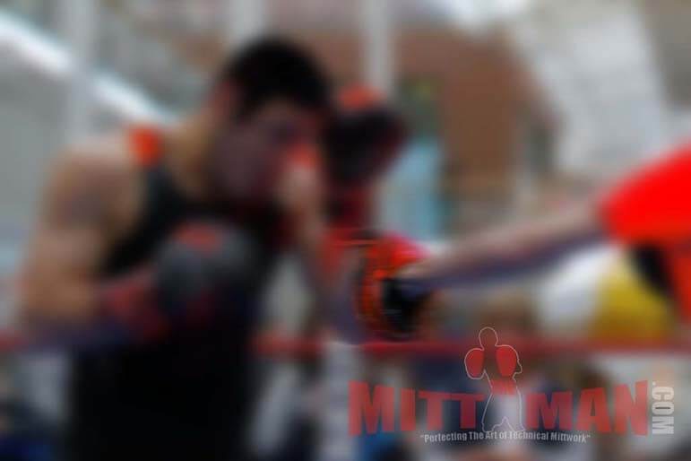 boxing focus mittwork  robina gold coast