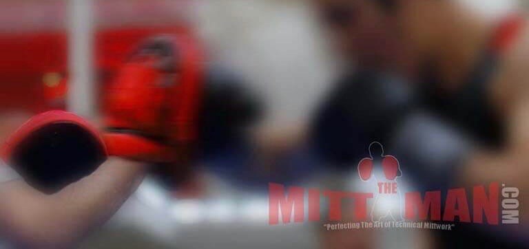 private boxing focus pad work gold coast