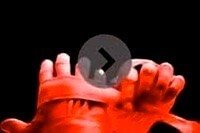 private-training--consultat med hr-2